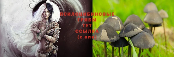 прущая мука Абдулино