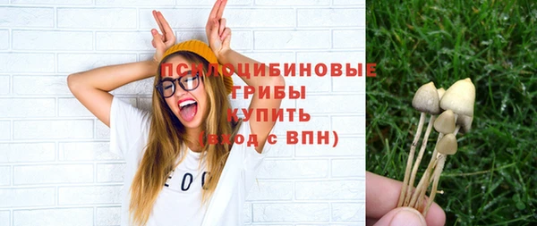 экстази Абаза
