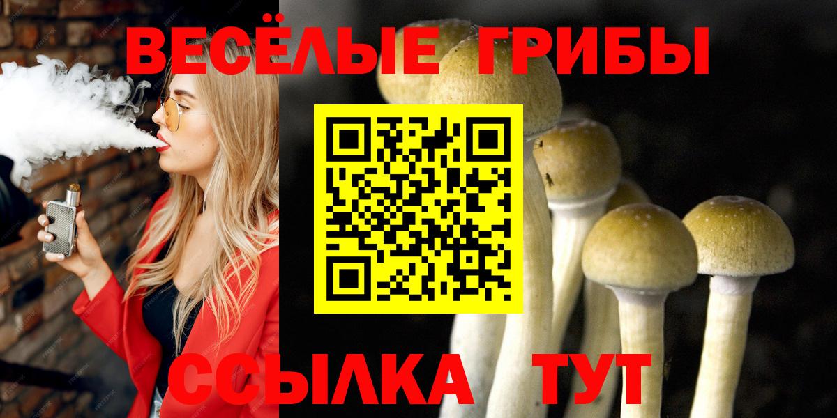 Галлюциногенные грибы мицелий  Вход с VPN  Стрежевой 